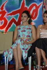 Pandaga Chesko Movie Grand Success Meet